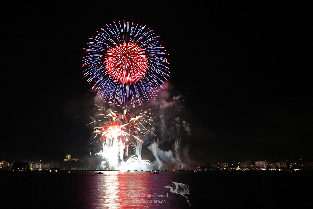 Feu d'artifice des Fêtes de Genève - 9 août 2008