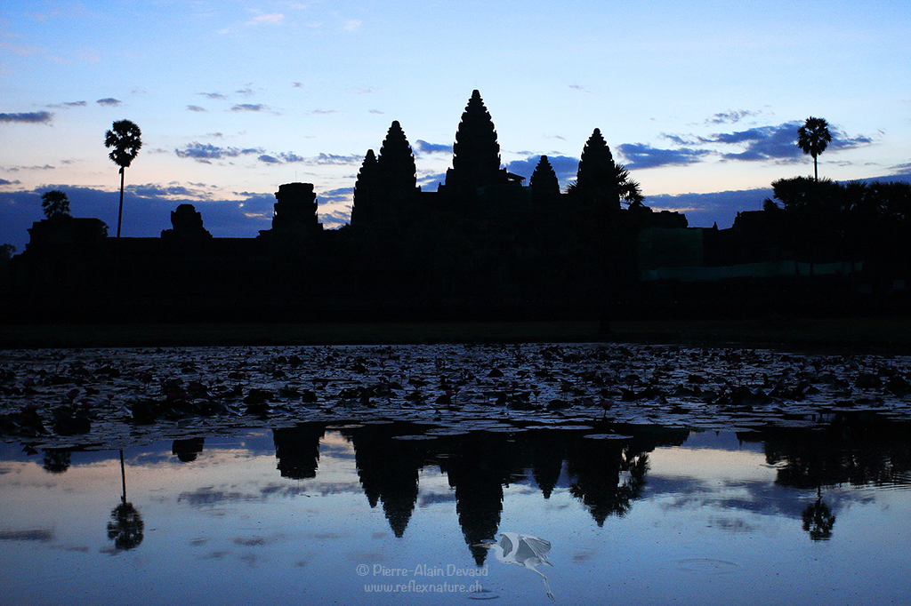 Angkor ( 2009)