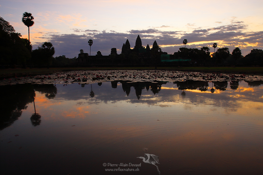 Angkor Vat ou Angkor Wat - Angkor / Cambodge