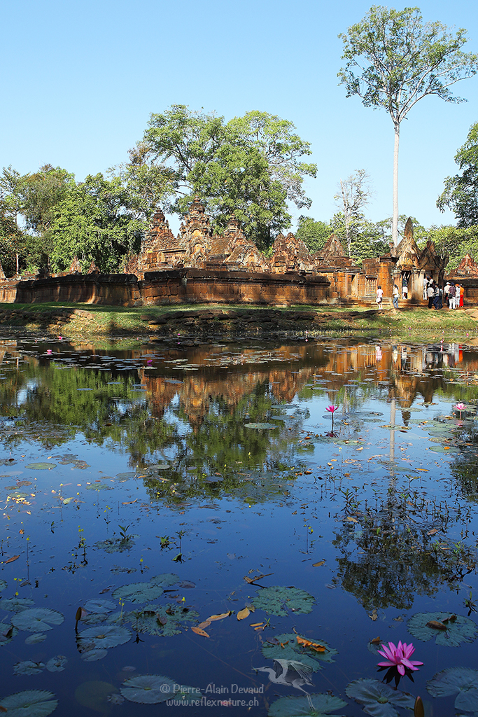 Banteay Srei - Angkor / Cambodge