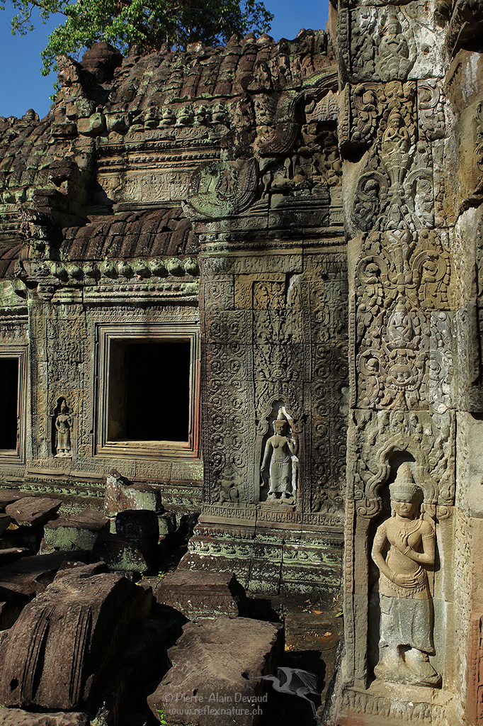 Preah Khan - Angkor / Cambodge