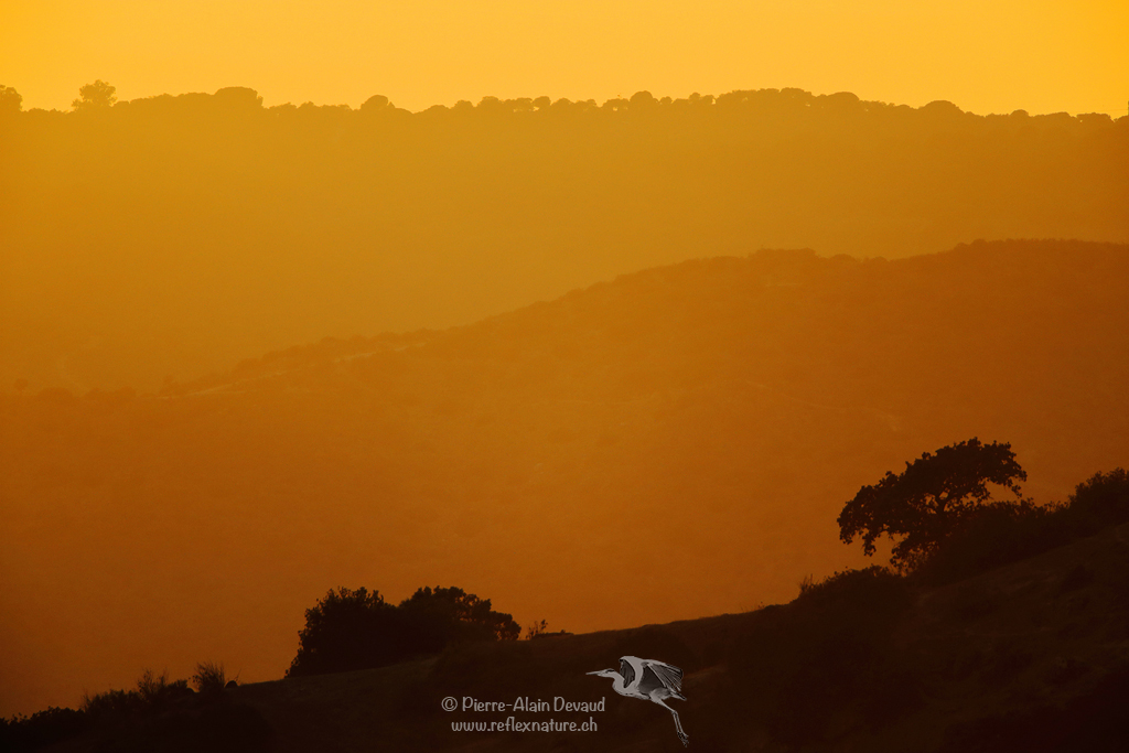 Parc naturel Sierra Morena de Andújar