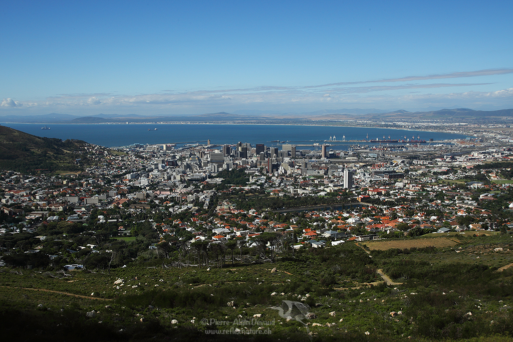 Cap Town depuis Table Mountain