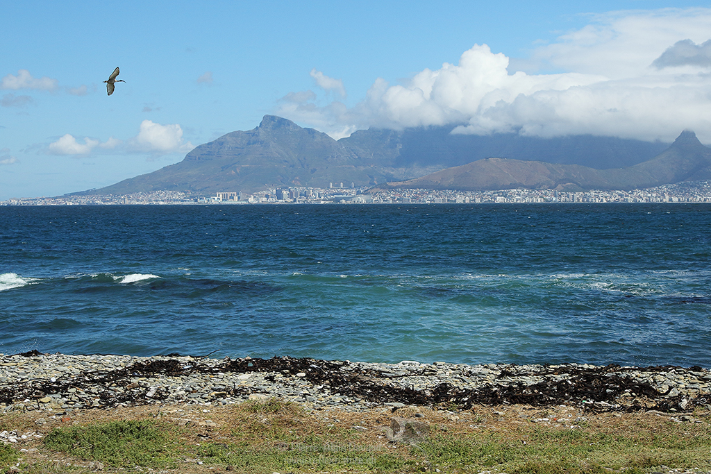 Cap Town depuis Robben Island