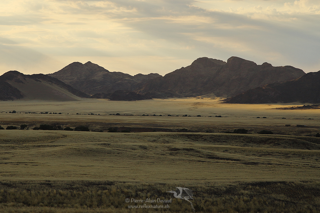 Sossusvlei, Namibie