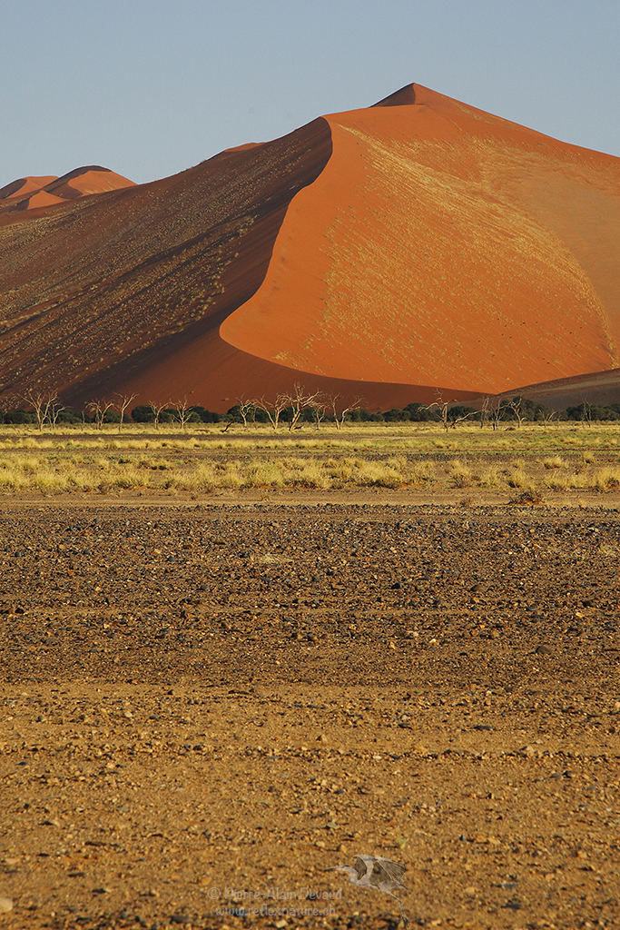 Sossusvlei, Namibie