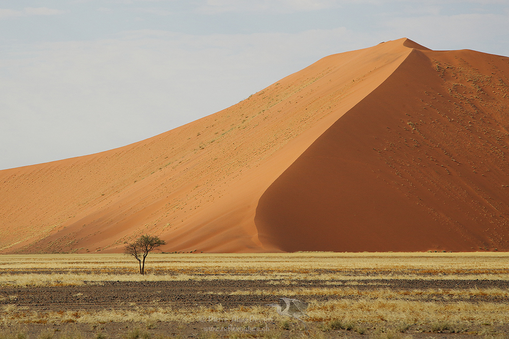 Sossusvlei, Namibie