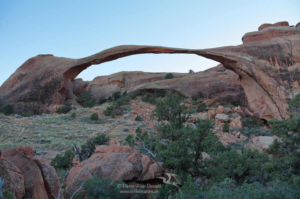 Landscape Arch / Arches National Park - Utah - USA