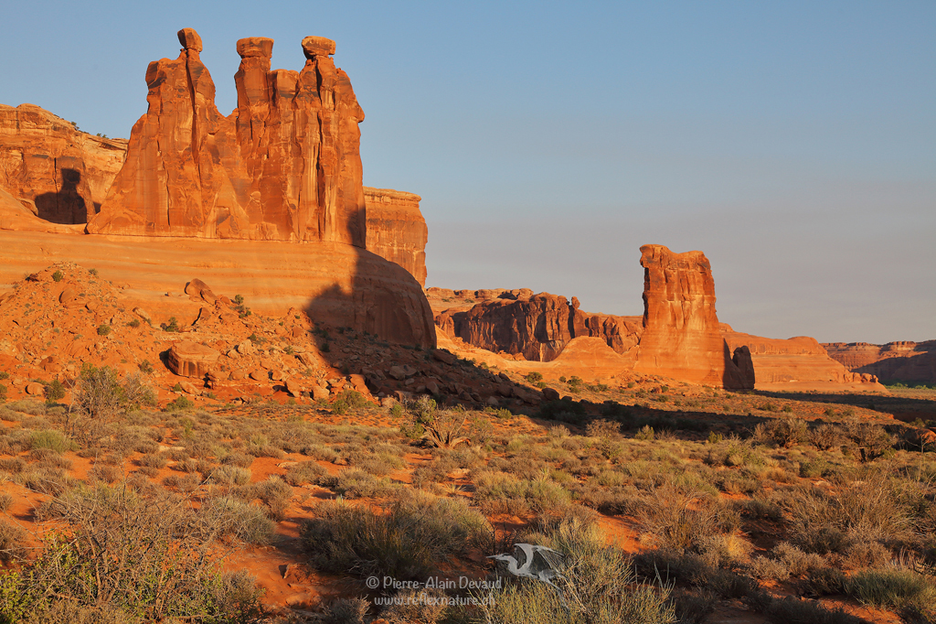 The Three Gossips / Arches National Park - Utah - USA