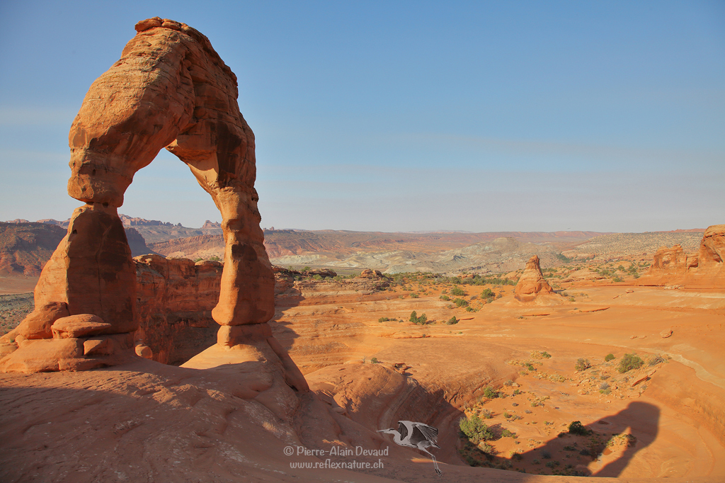 Delicate Arch / Arches National Park - Utah - USA