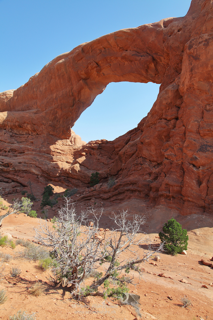 South Windows Arch / Arches National Park - Utah - USA