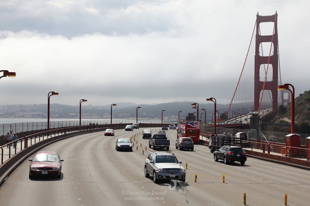 Golden Gate Bridge / San Francisco - Californie - USA