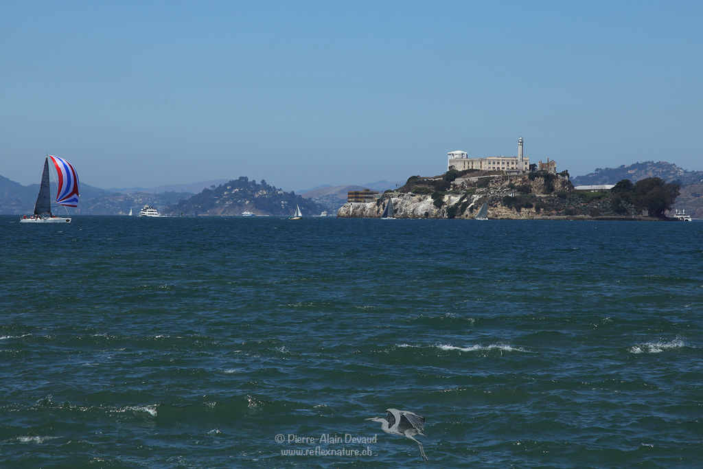 Prison d'Alcatraz / San Francisco - Californie - USA