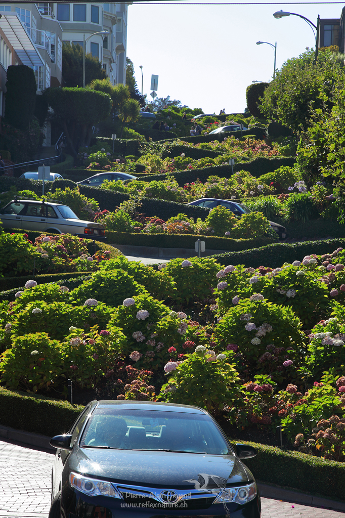 Lombard Street / San Francisco - Californie - USA