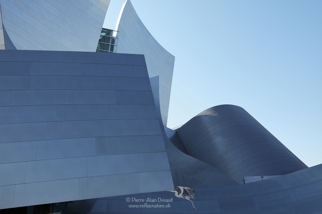 Walt Disney Concert Hall / Los Angeles - Californie - USA