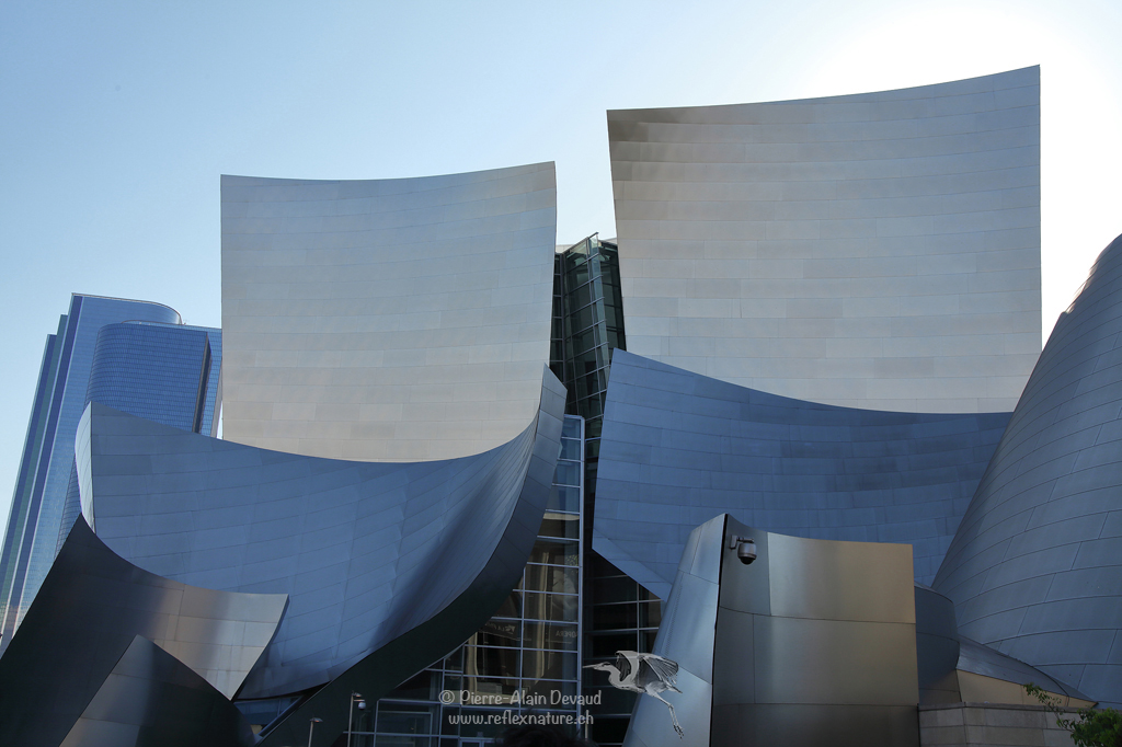 Walt Disney Concert Hall / Los Angeles - Californie - USA