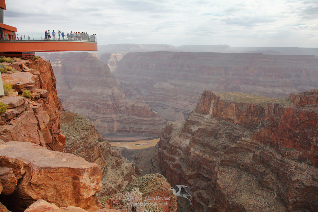 Grand Canyon Skywalk / Arizona - USA