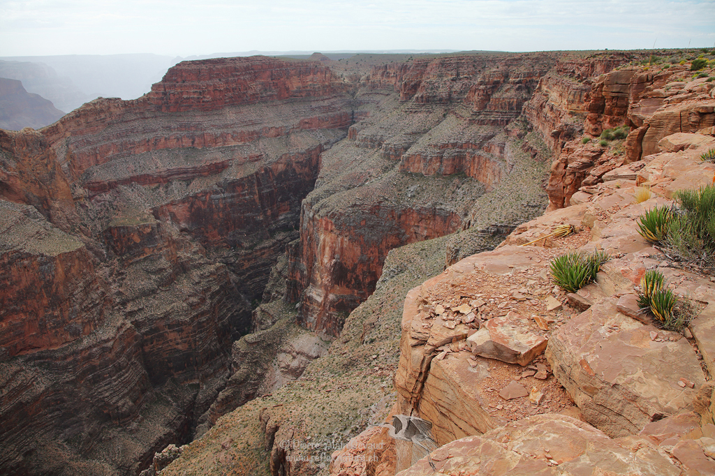 Grand Canyon / Arizona - USA