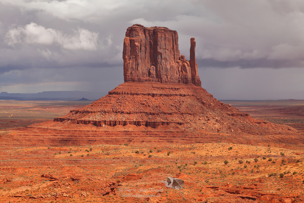 One of The Mittens / Monument Valley - USA