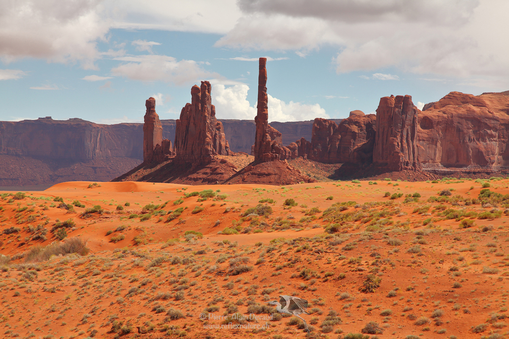 Totem Pole / Monument Valley - USA