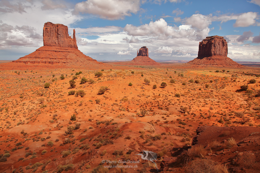 The Mittens & Elephant Butte / Monument Valley - USA