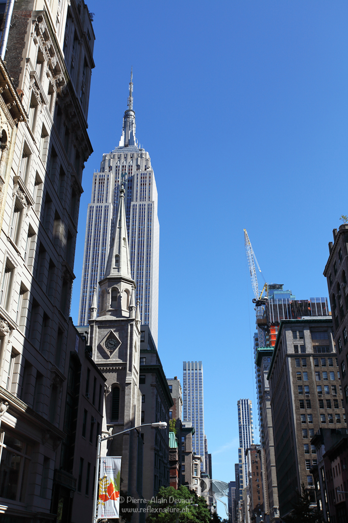 Empire State Building- Manhattan - New-York - USA