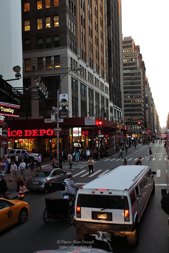 Times Square - Manhattan - New-York - USA