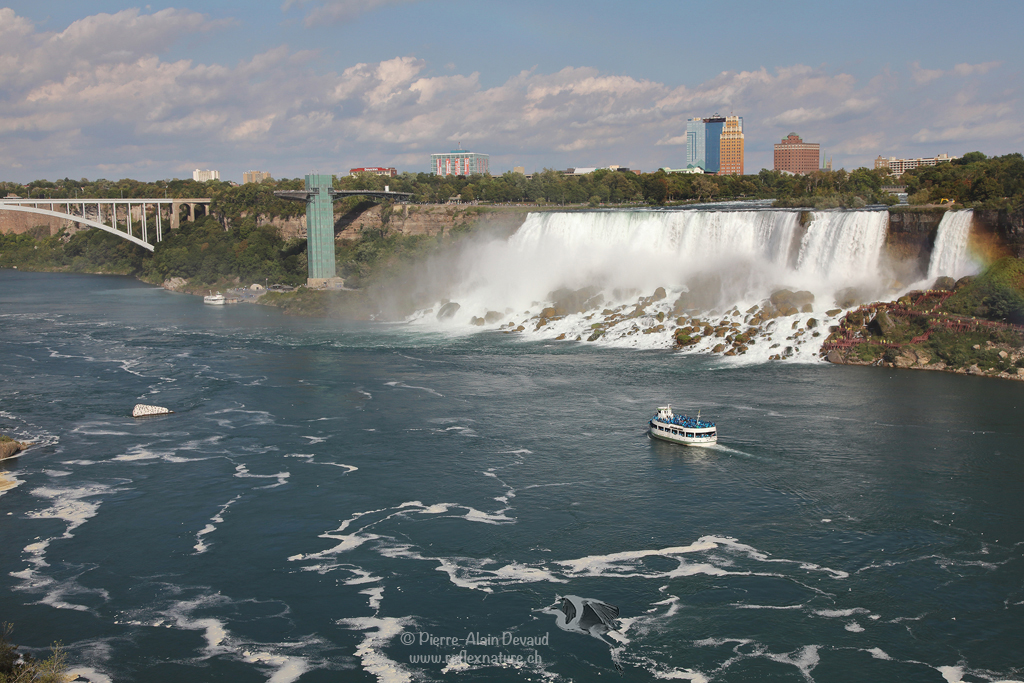 Chutes Américaines (American Falls) & Chute du Voile de la Mariée ( Bridal Veil Falls) / Chutes Niagara - USA