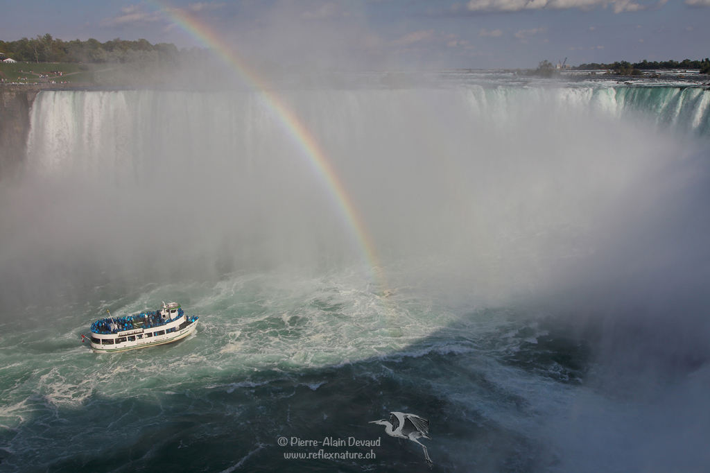 Chutes du Fer-à-Cheval (Horseshoe Falls) / Chutes Niagara - Canada