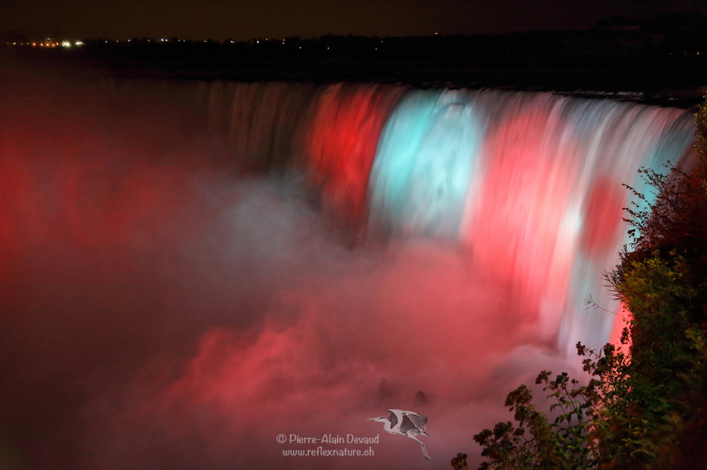 Chutes du Fer-à-Cheval (Horseshoe Falls) / Chutes Niagara - Canada