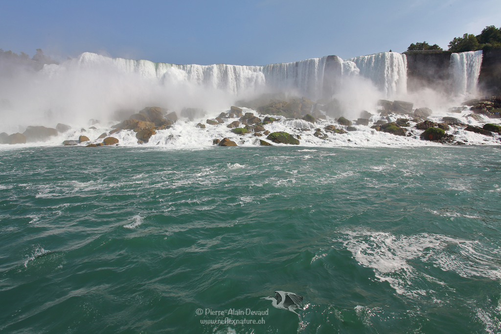 Chutes Américaines (American Falls) & Chute du Voile de la Mariée ( Bridal Veil Falls) / Chutes Niagara -USA