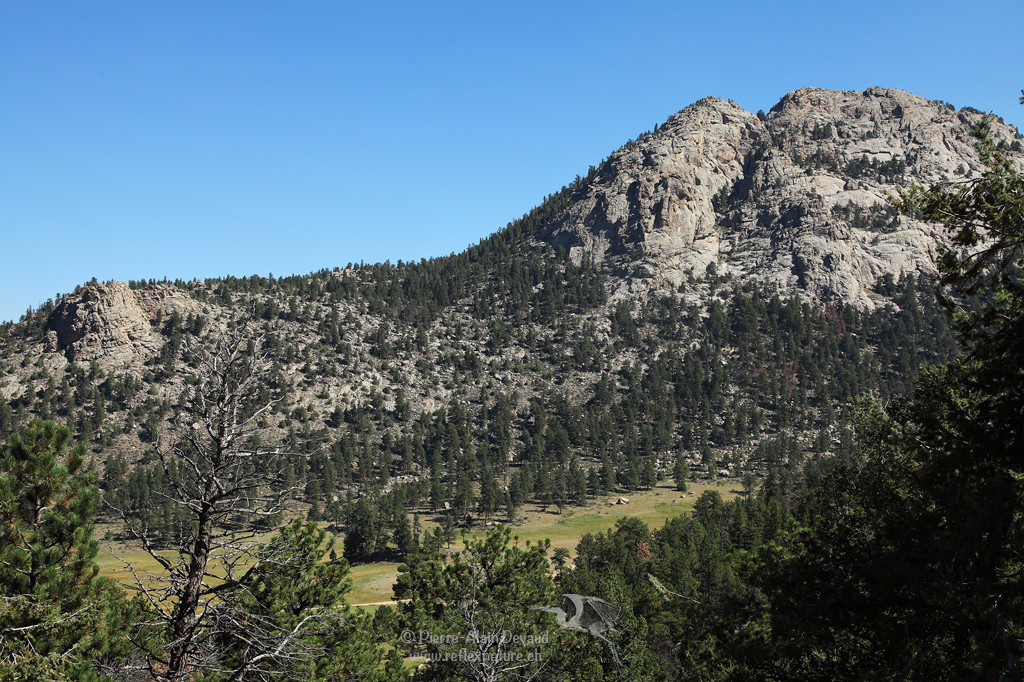 Parc national des Montagnes Rocheuses (Rocky Mountain NP) - Colorado - USA