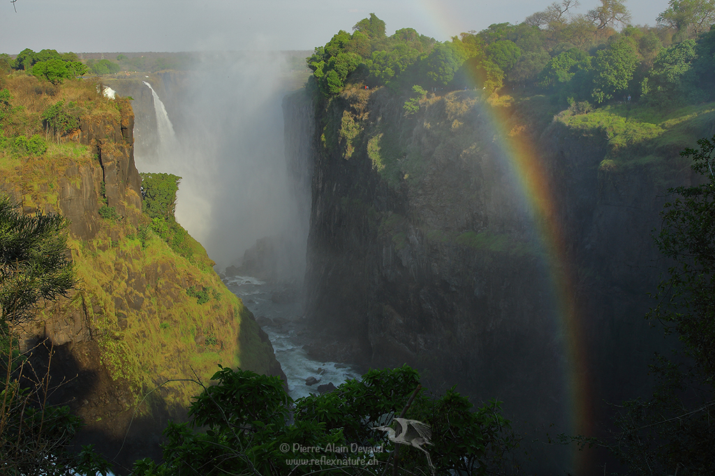 Chutes Victoria - Victoria Falls (Zimbabwe)