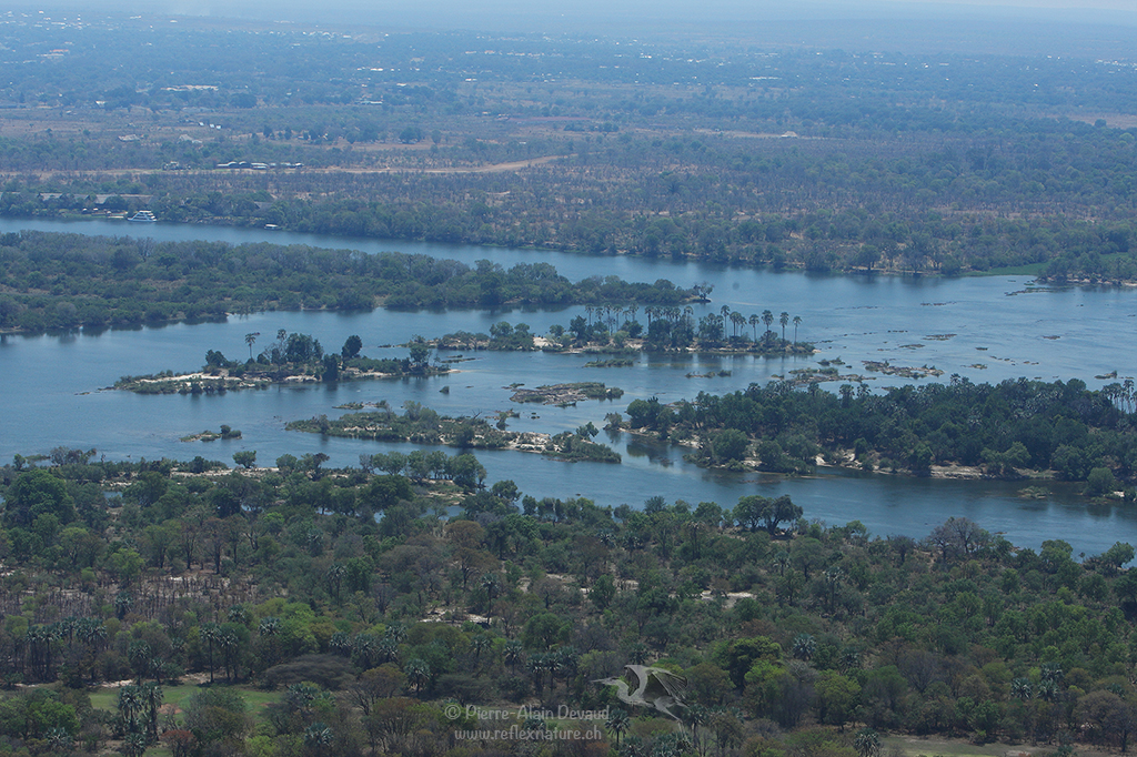 Fleuve Zambèze près des chutes Victoria