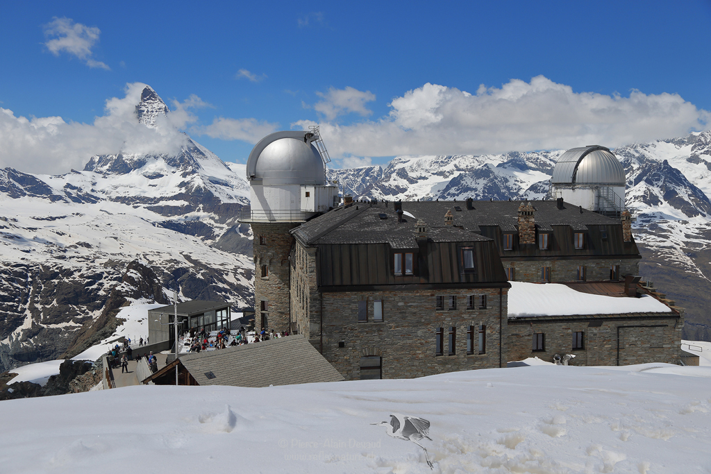 Cervin - Hotel Gornergrat - Zermatt / Valais