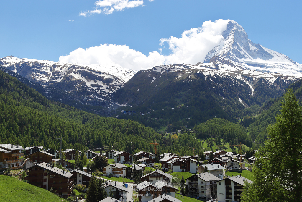 Cervin - Zermatt / Valais
