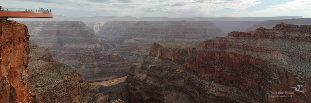 USA - Arizona / Grand Canyon