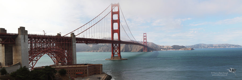 USA - Californie - San Francisco / Golden Gate